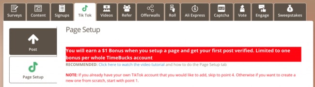 TimeBucks TikTok Earning