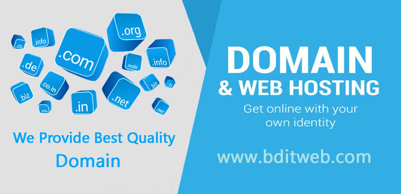 Best Domain Hosting Provider in Bangladesh | BD IT WEB